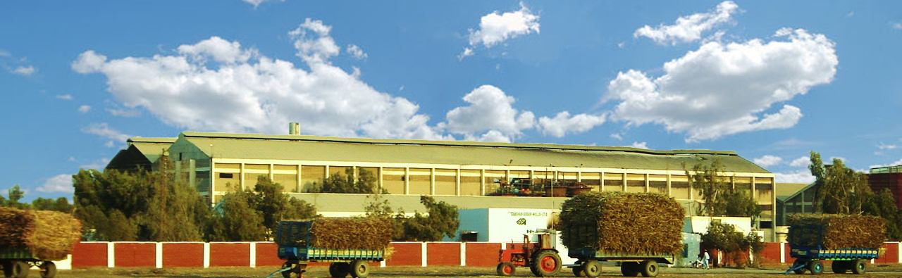 Sanghar Suger Mills